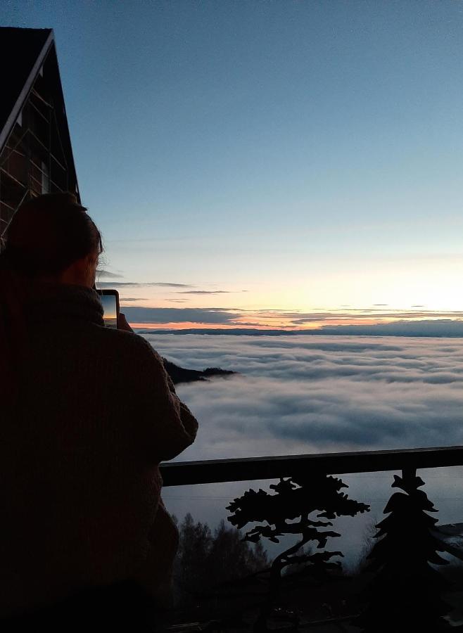 Vihor A21 Apartment Kopaonik Luaran gambar